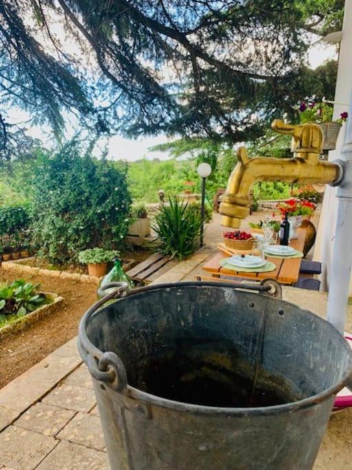 Casina Foggia Dell'Albero Apartment Putignano Luaran gambar