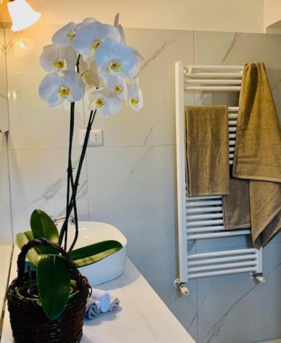 Casina Foggia Dell'Albero Apartment Putignano Luaran gambar